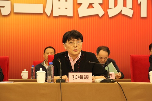 2.第十一届全国政协副主席张梅颖在大会做重要讲话.JPG